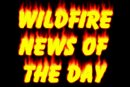 Wildfire Newsletter