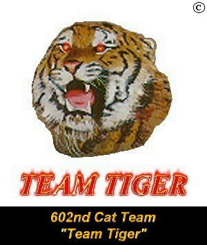 602nd CAT Team - Team Tiger