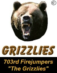 703rd Firejumper Company - The Grizzlies