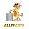 401st Heavy Transport Squadron (Alleycats) Store