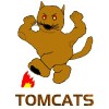 402nd Heavy Transport Squadron (Tomcats) Store