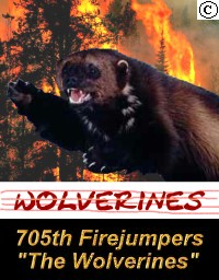 705th Firejumper Company - The Wolverines